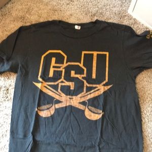 Charleston Southern University grey + gold logo